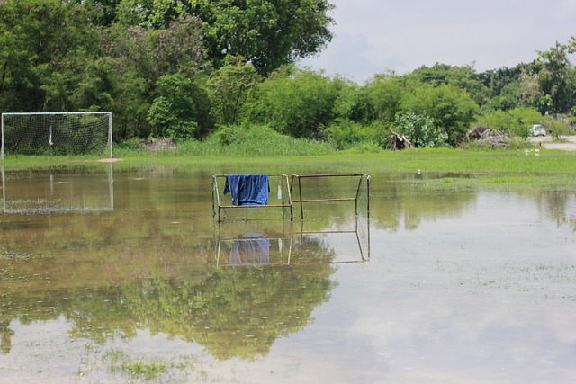 增强后场实 增强后场实