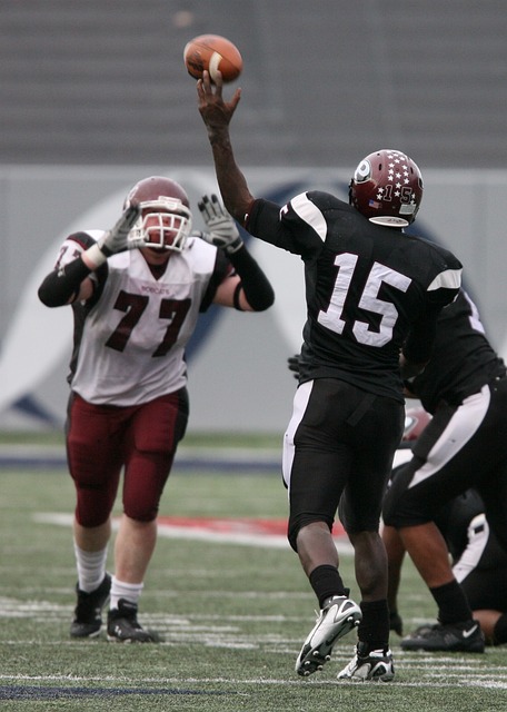 球迷心头一 球迷心头一