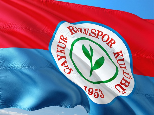 这是得分数 这是得分数