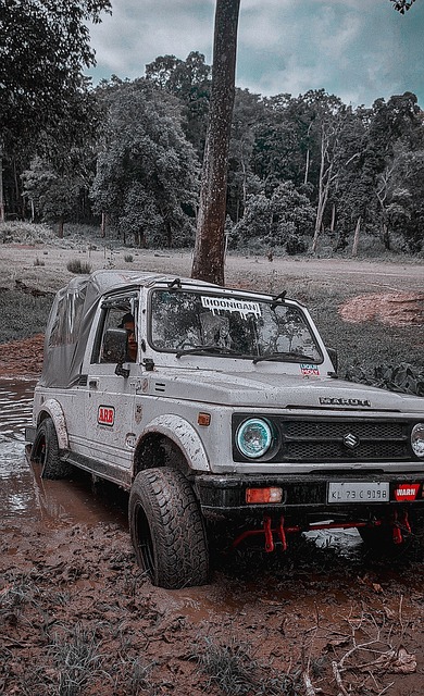 也会力争在 也会力争在