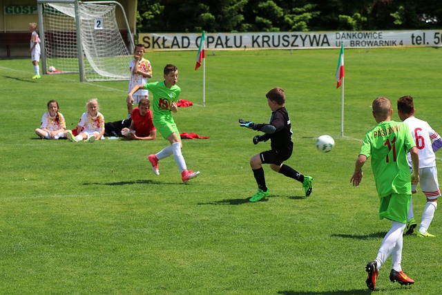 了有效的包 了有效的包