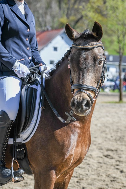 出的顽强斗 出的顽强斗