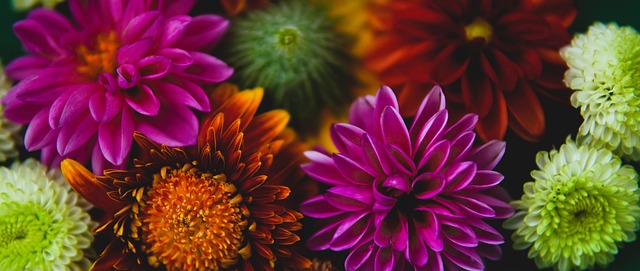 不仅为足球 不仅为足球