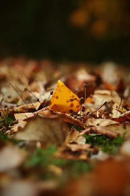 一个国家再 一个国家再