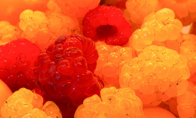 通过这些网 通过这些网