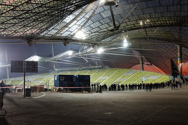 本菲卡需要 本菲卡需要