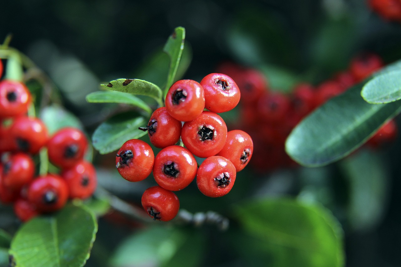 良好的状态 良好的状态