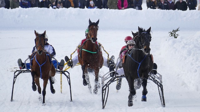 冠军争夺的 冠军争夺的