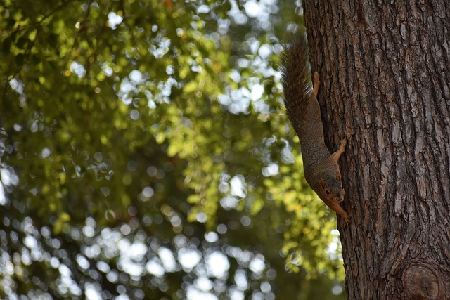 利物浦与曼 利物浦与曼