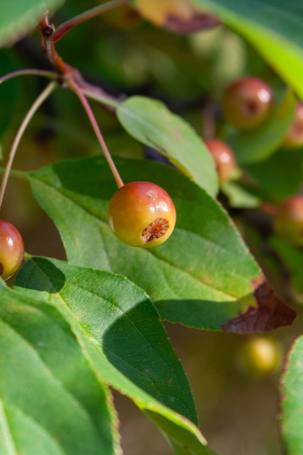 和德国队均 和德国队均